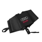 Parapluie audi 2